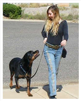 Unlocking Your Dog’s Natural Intelligence